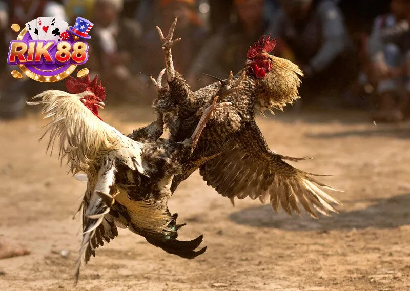 Giao diện thân thiện đẳng cấp cho người mới bắt đầu