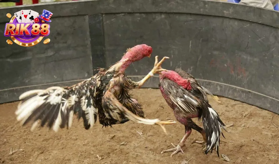 Phân tích trận đấu và cơ hội thắng lớn